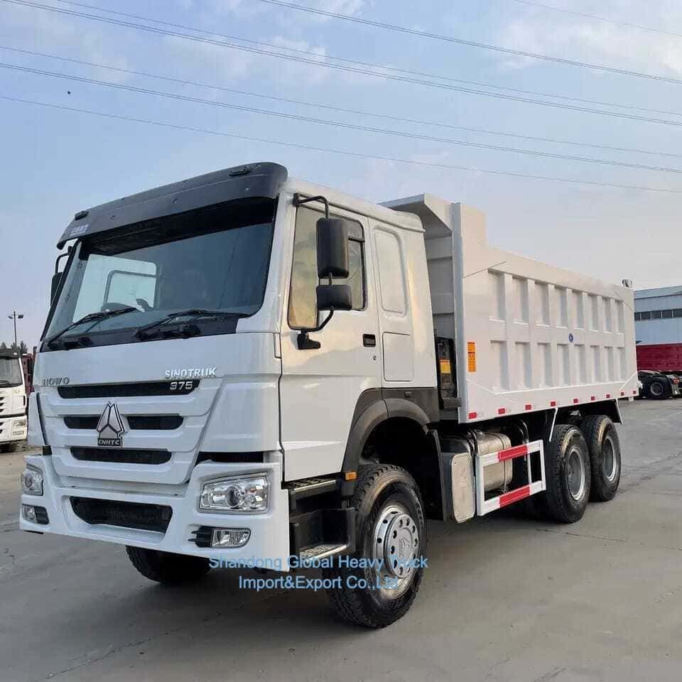 Truk Bekas 32 30 35 Ton Tipper Diesel Bekas Sinotruck HOWO 6X4 Dump Truck